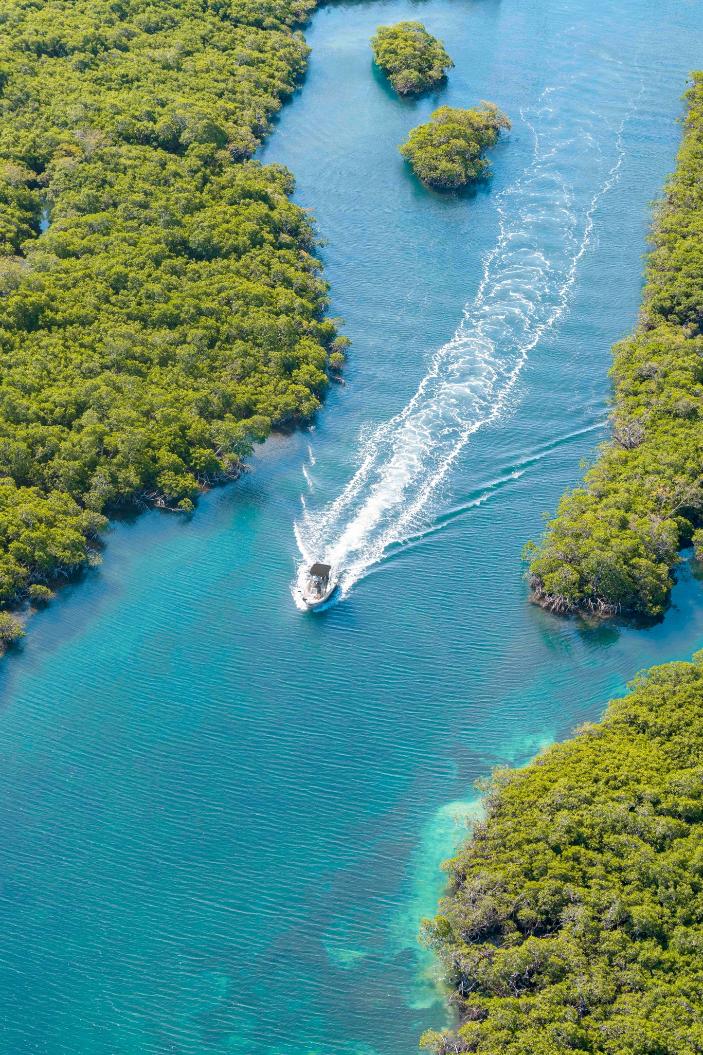 Boat Day, Key Largo, Florida