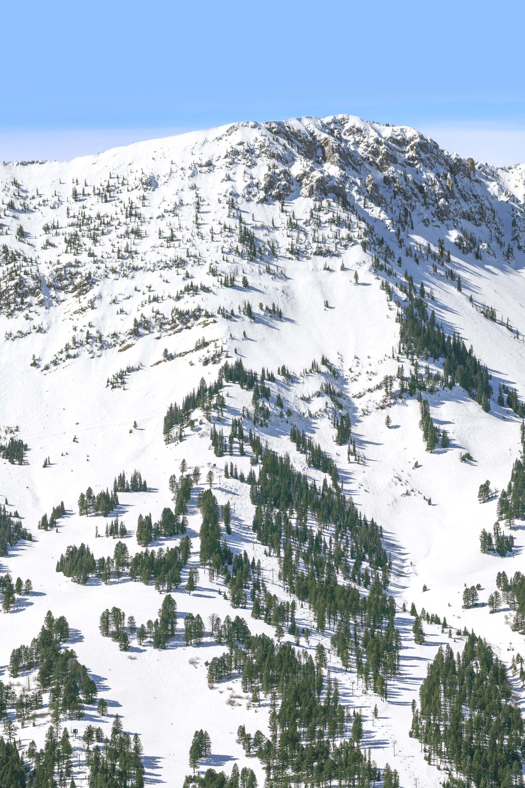 Bridger Bowl Triptych, Bozeman, Montana by Gray Malin