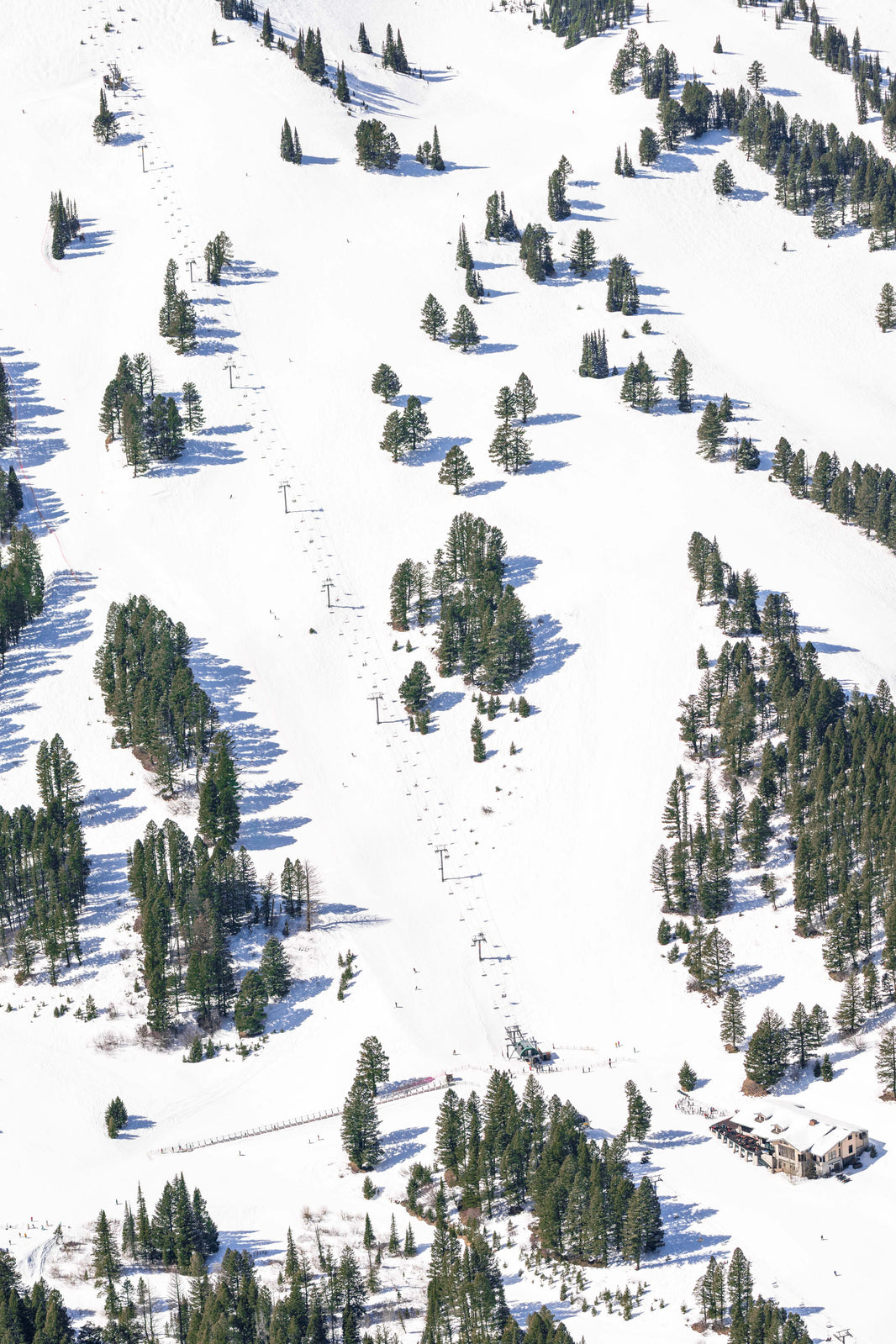 Bridger Bowl Vertical, Bozeman, Montana by Gray Malin