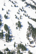 Bridger Bowl Vertical, Bozeman, Montana