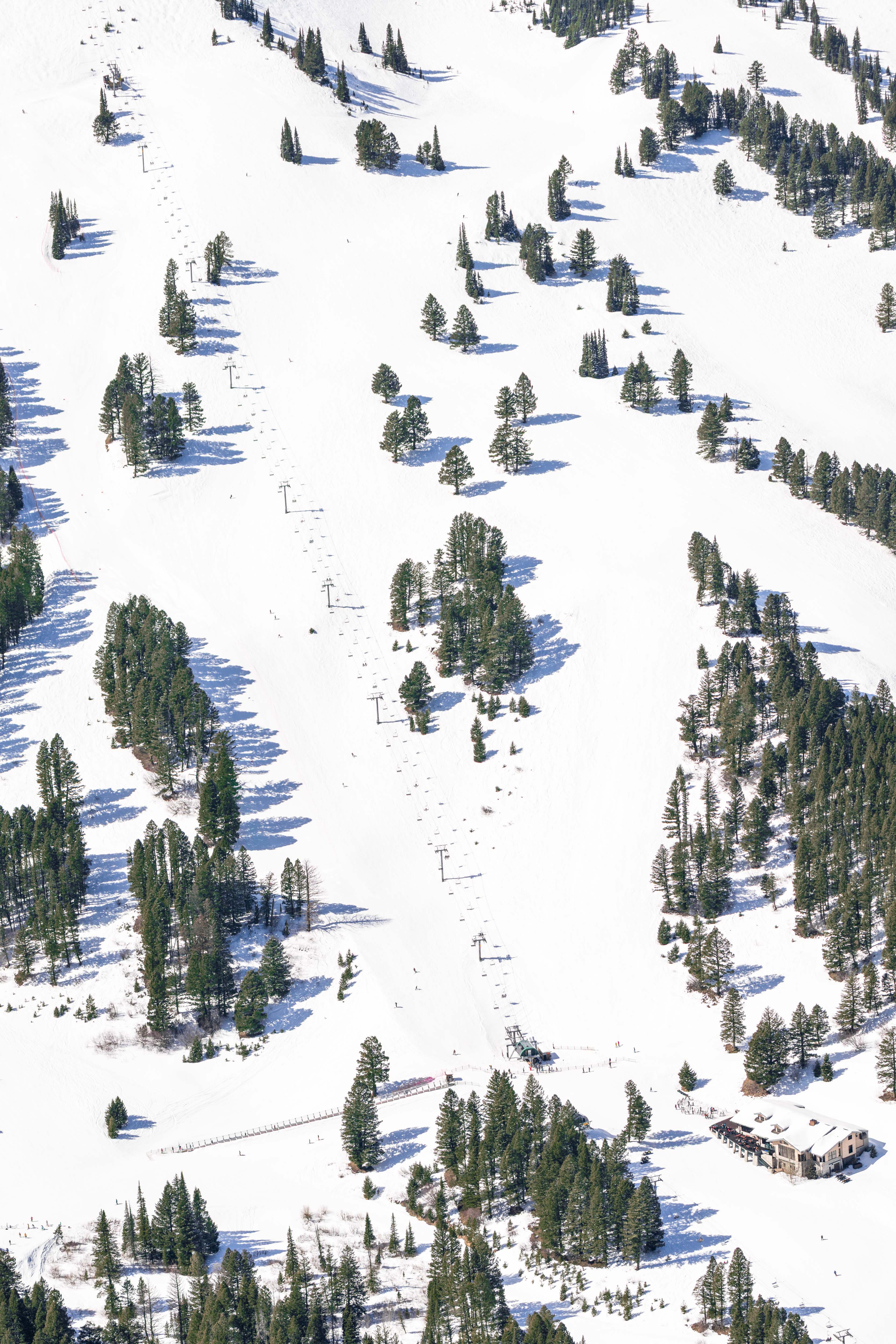 Bridger Bowl Vertical, Bozeman, Montana