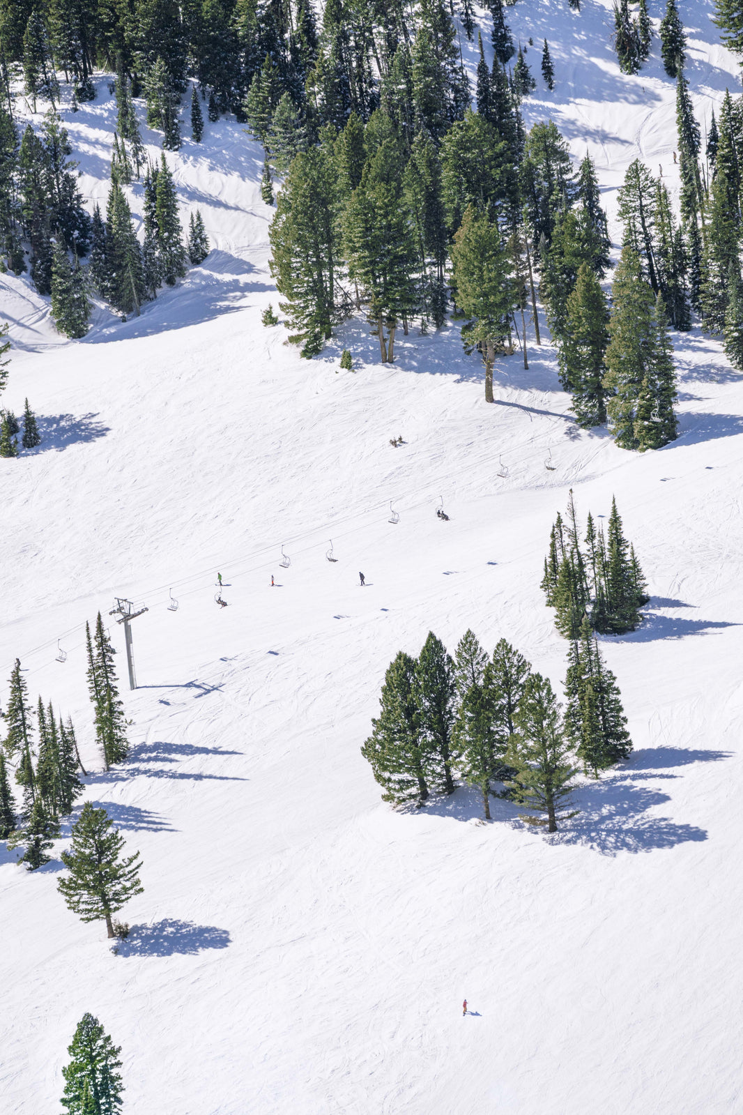 Bridger Chairlift Vertical, Bozeman, Montana by Gray Malin