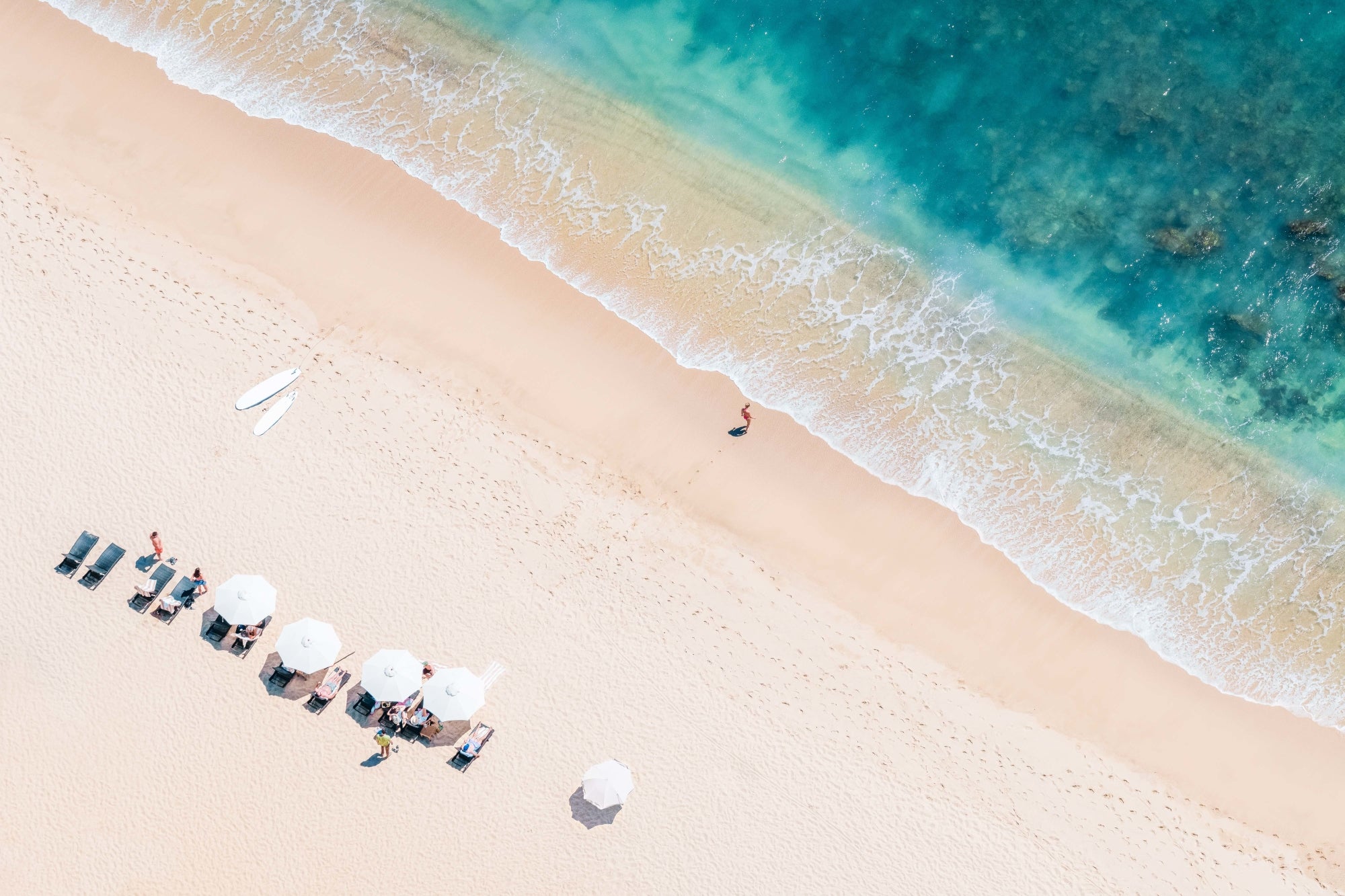 Cabo Surf Hotel, Cabo San Lucas