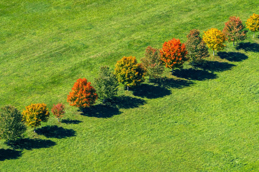 Changing Seasons, Quechee, Vermont