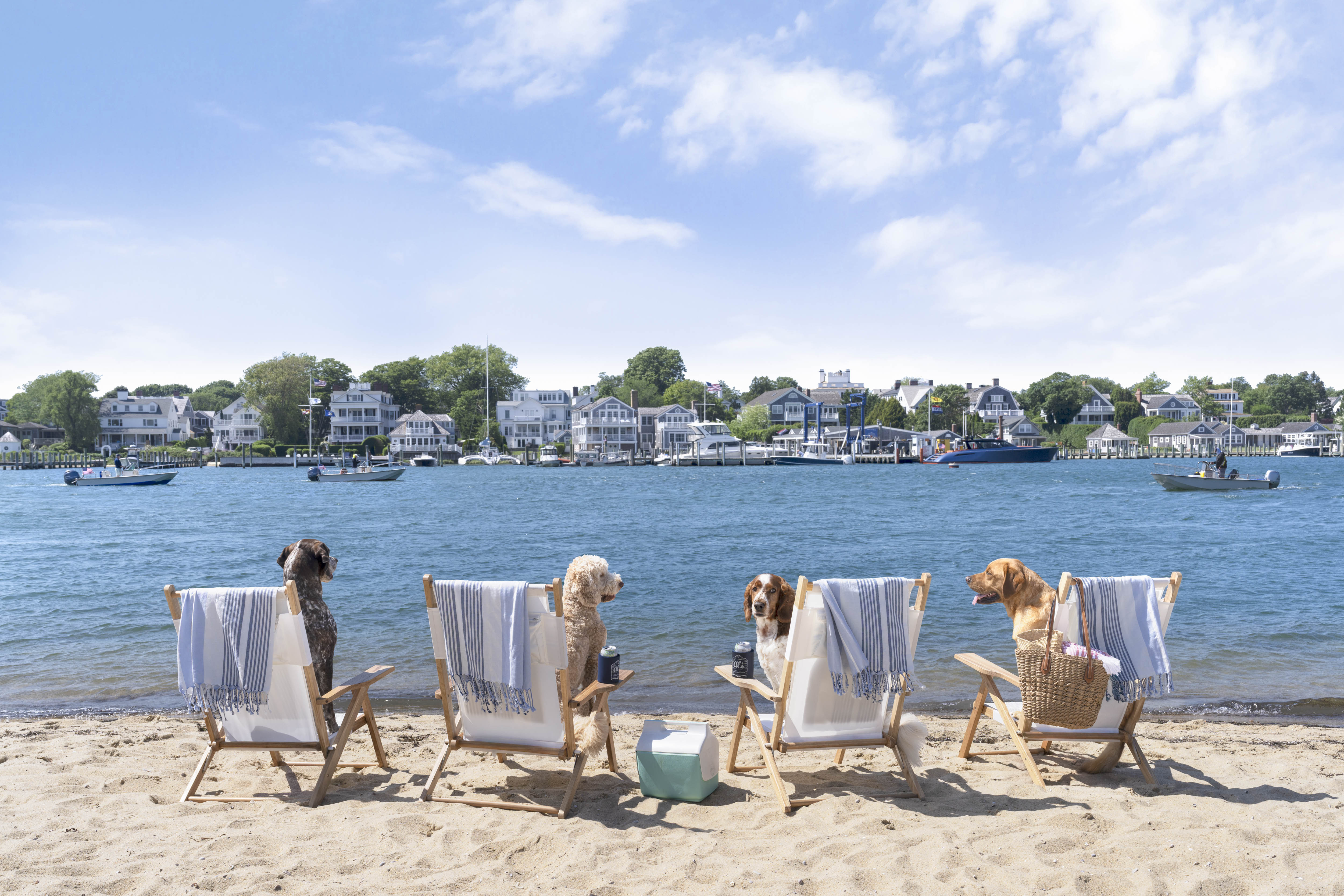 Chappy Beach Day, Martha’s Vineyard