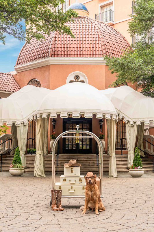 Checking In, The Rosewood Mansion on Turtle Creek