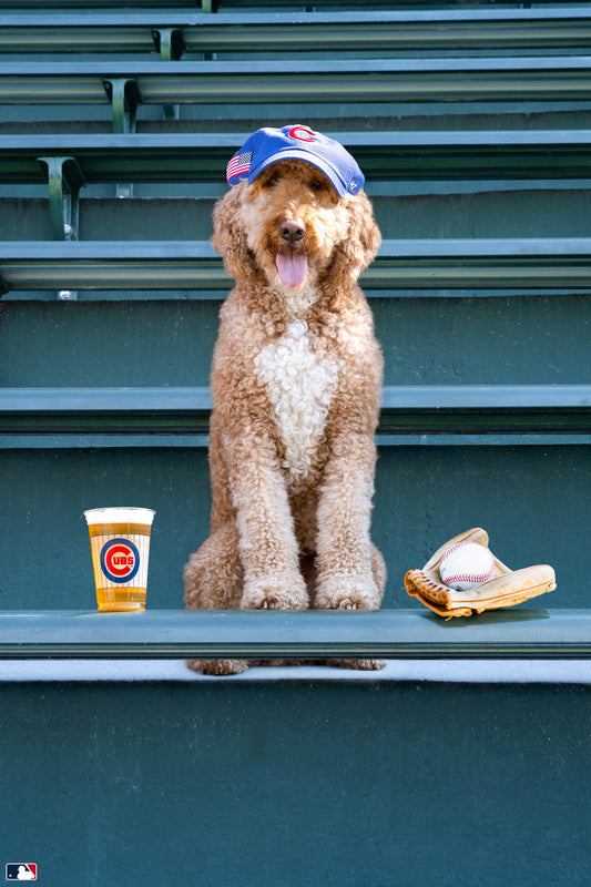 Chicago Pride, Wrigley Field, Chicago