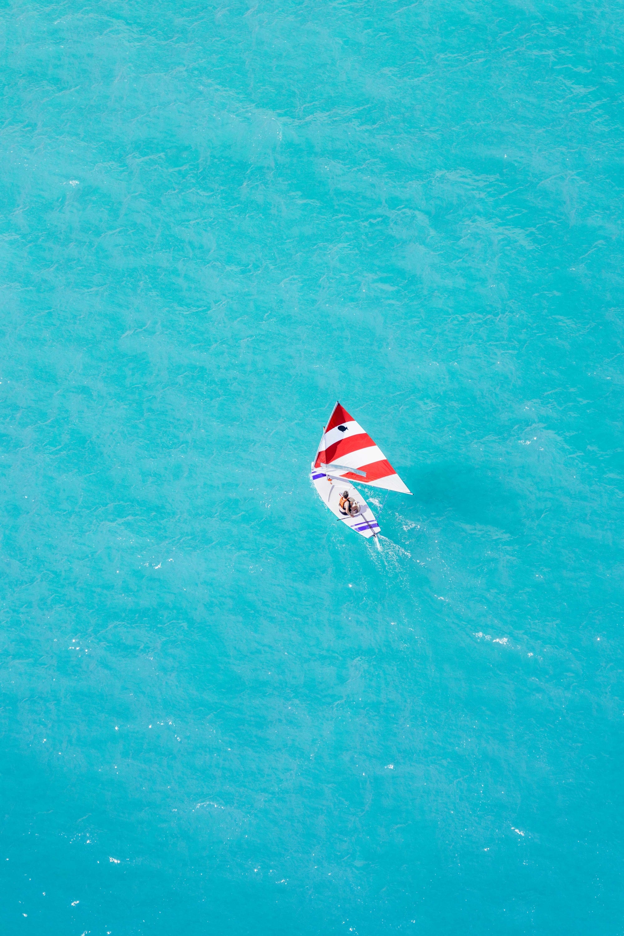 Chicago Sunfish Sailboat Vertical