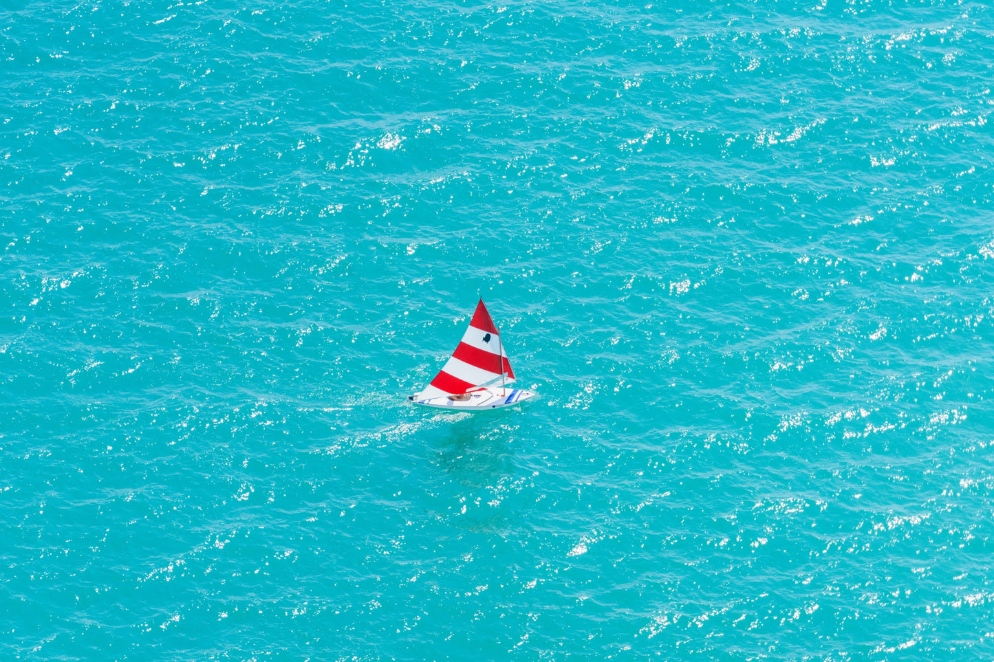 Chicago Sunfish Sailboat