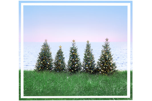 The Coastal Holiday Tray by Gray Malin