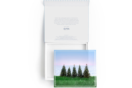 The Coastal Holiday Tray by Gray Malin