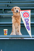 Cubs Spirit, Wrigley Field, Chicago