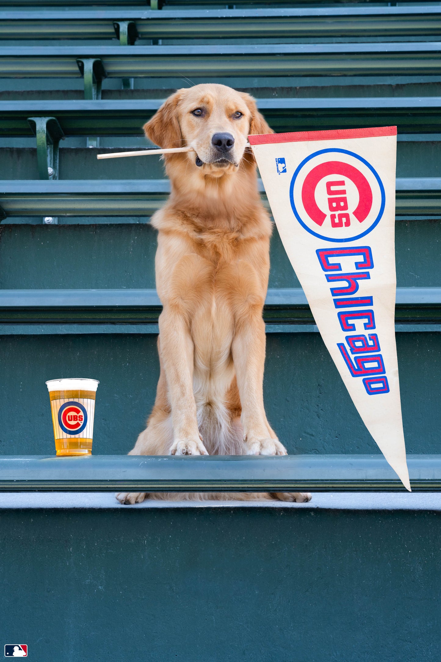 Cubs Spirit, Wrigley Field, Chicago