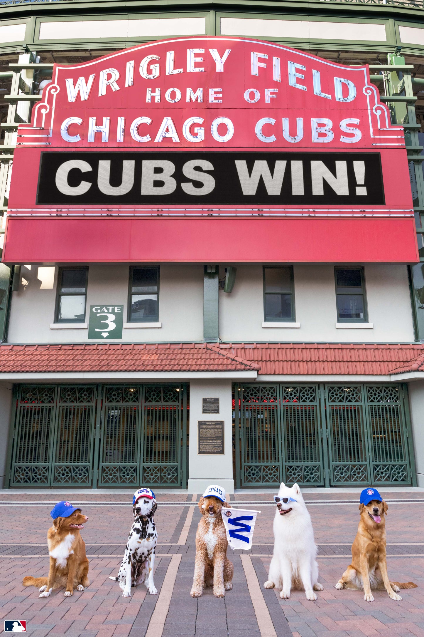 Cubs Win, Wrigley Field, Chicago