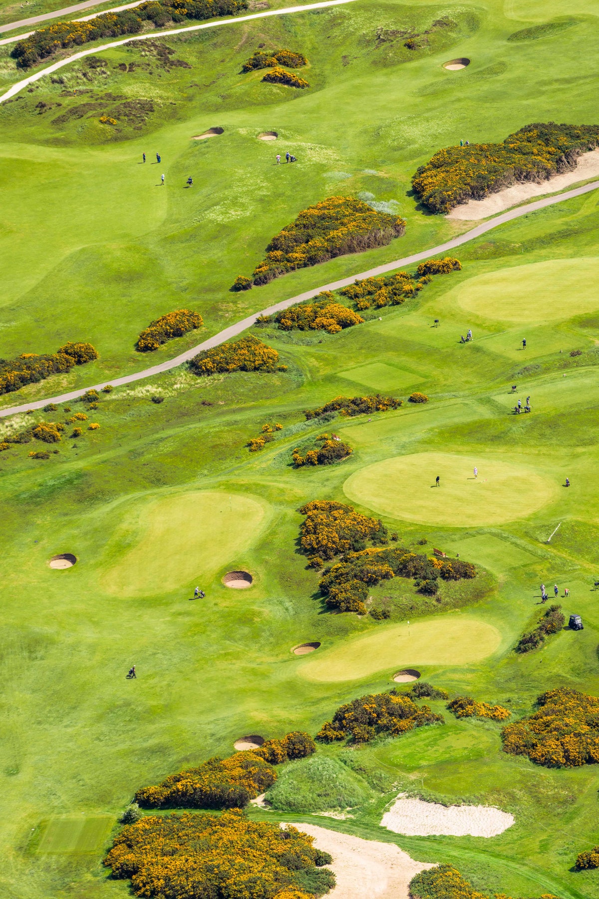 Day on the Course, St. Andrews Links, Scotland