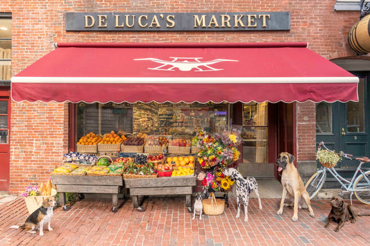 Deluca’s Market, Beacon Hill, Boston