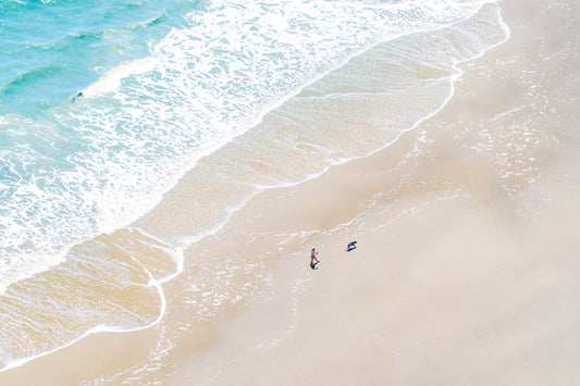 Product image for Dog Stroll, Sea Island, Georgia