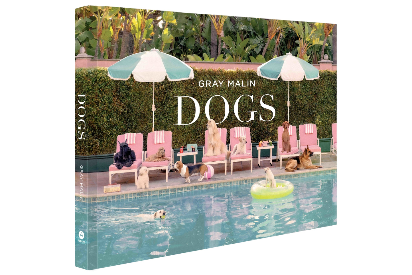 DOGS Book Pre-Order