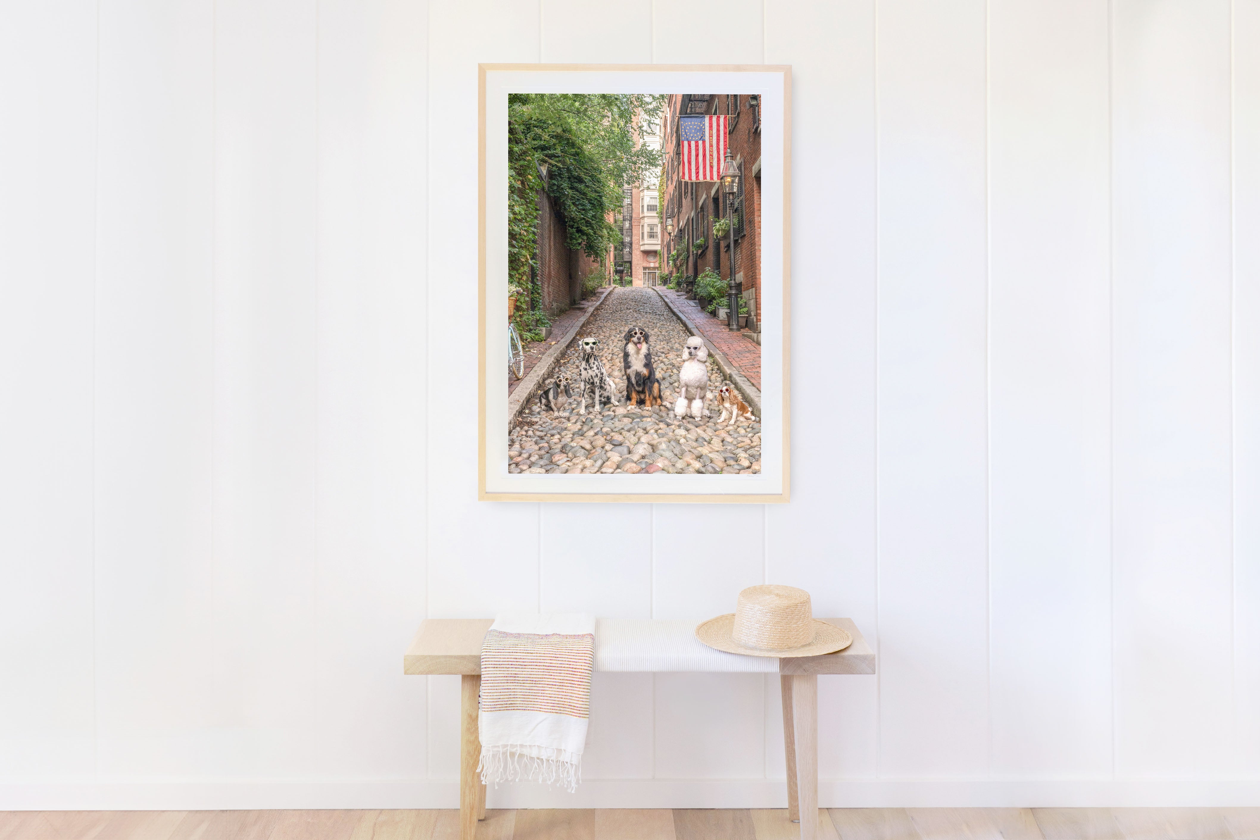 Acorn Street Vertical, Beacon Hill, Boston