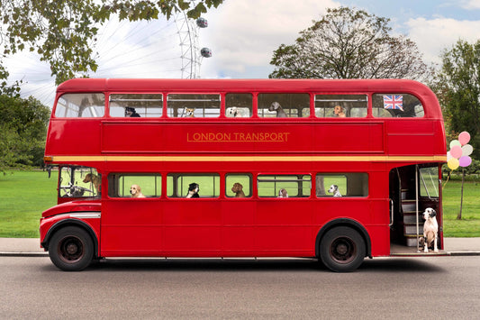 Product image for Double Decker Dogs, London