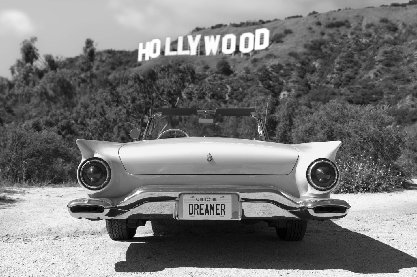 Dreamer, Hollywood Sign (Black and White)