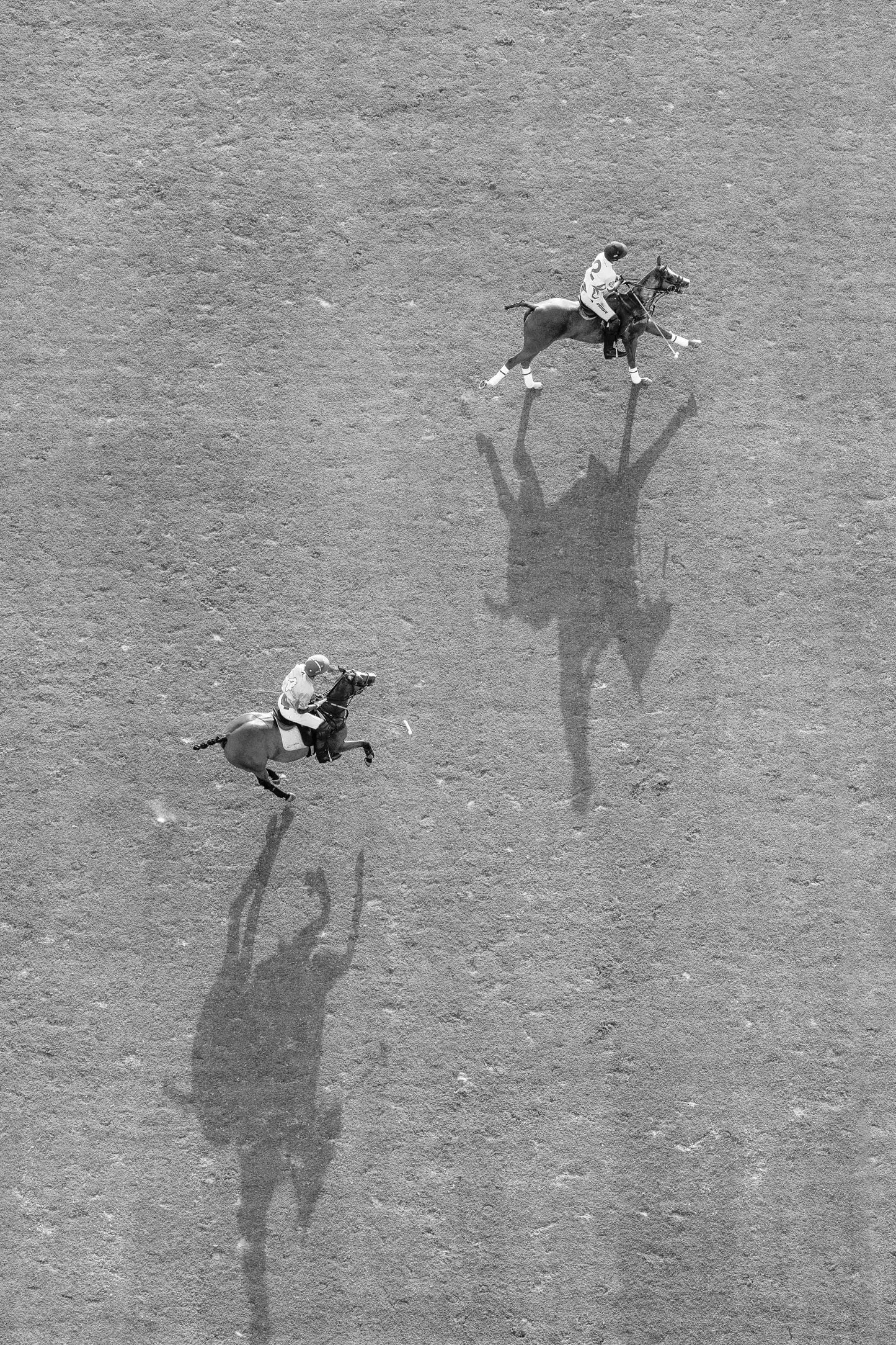 Dueling Riders (Black and White), Polo Club