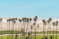East Beach Palm Trees, Santa Barbara