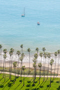 East Beach Palms Vertical, Santa Barbara