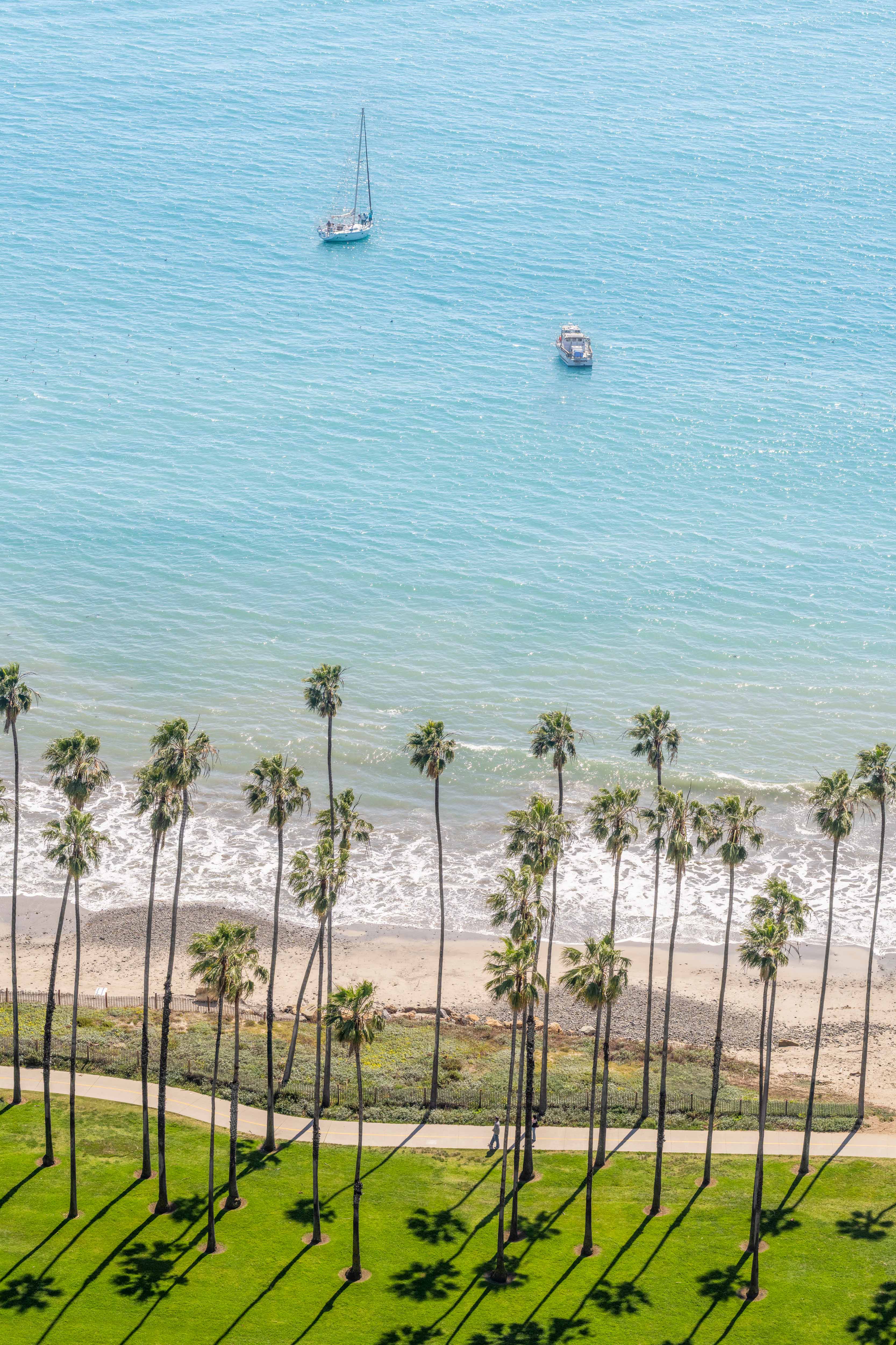 East Beach Palms Vertical, Santa Barbara