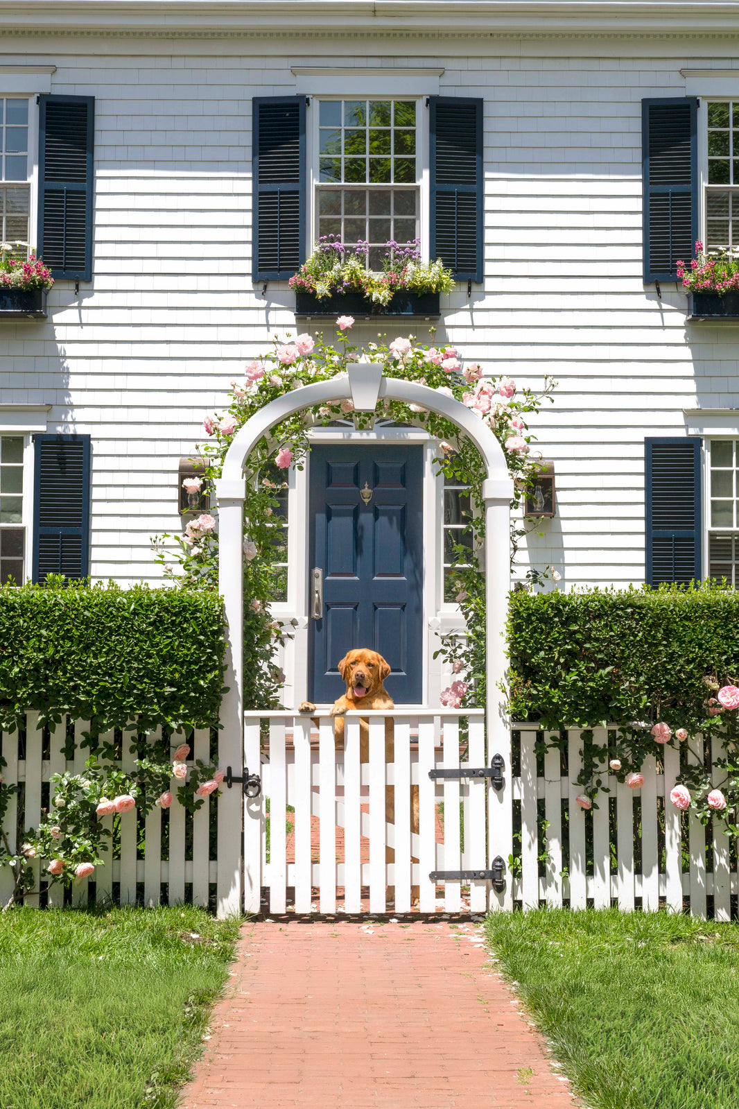 Photography by Gray Malin of Edgartown Pup, Martha’s Vineyard