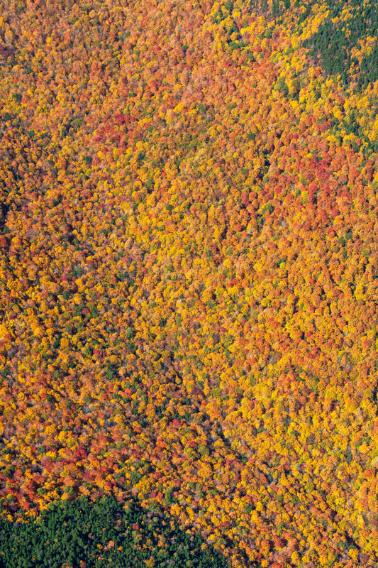 Fall Foliage Vista Triptych, New England