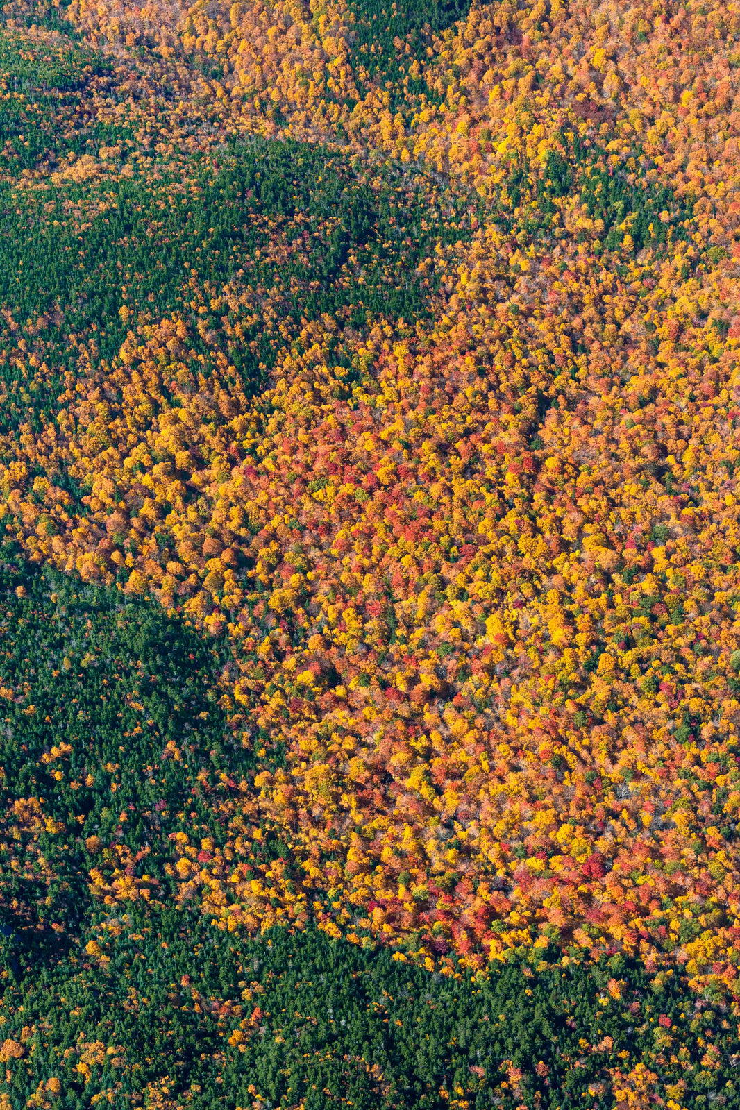Fall Foliage Vista Triptych, New England by Gray Malin