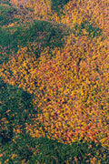Fall Foliage Vista Triptych, New England