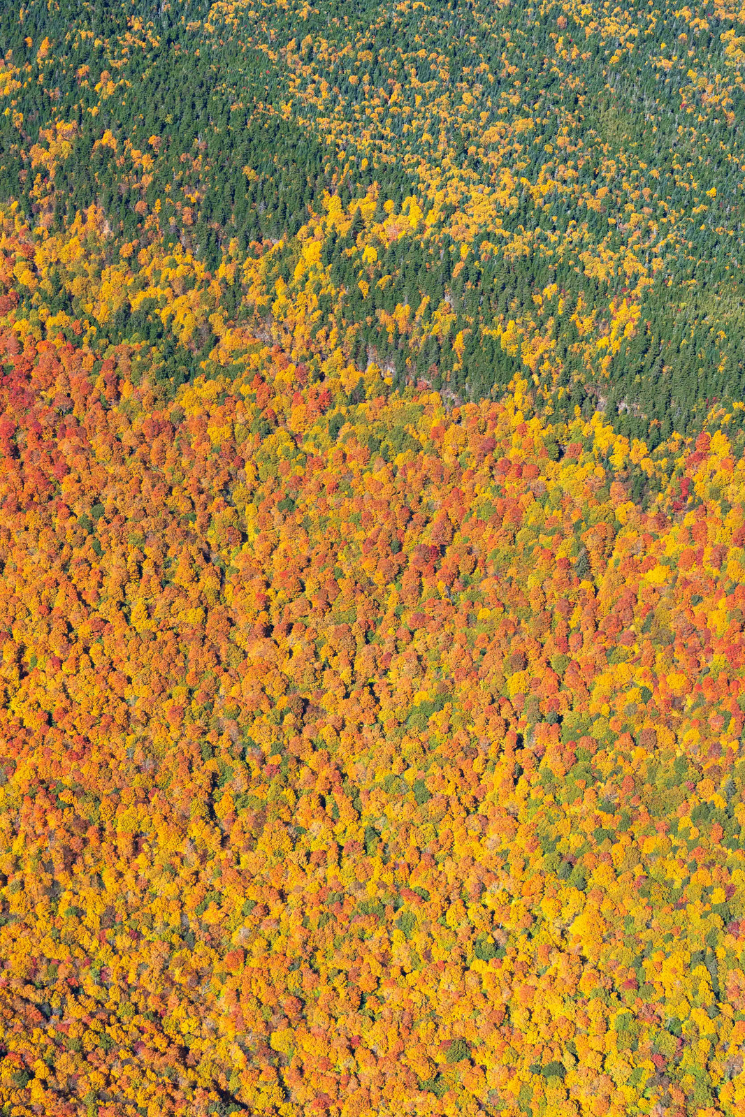 Fall Foliage Vista Triptych, New England by Gray Malin