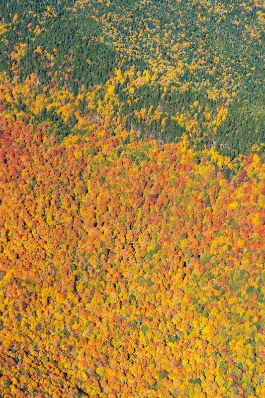 Fall Foliage Vista Triptych, New England