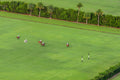Field of Play, Polo Club