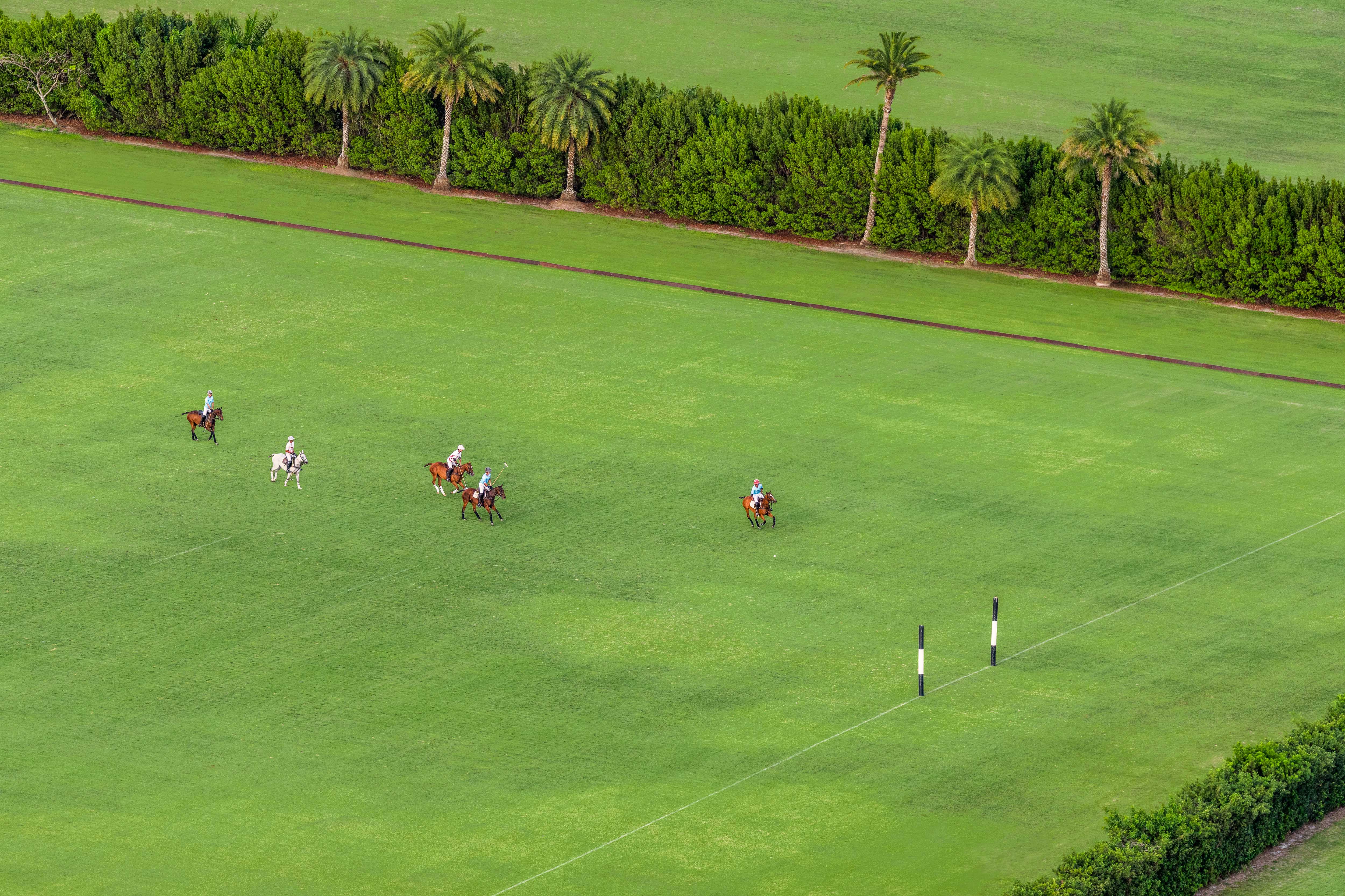 Field of Play, Polo Club