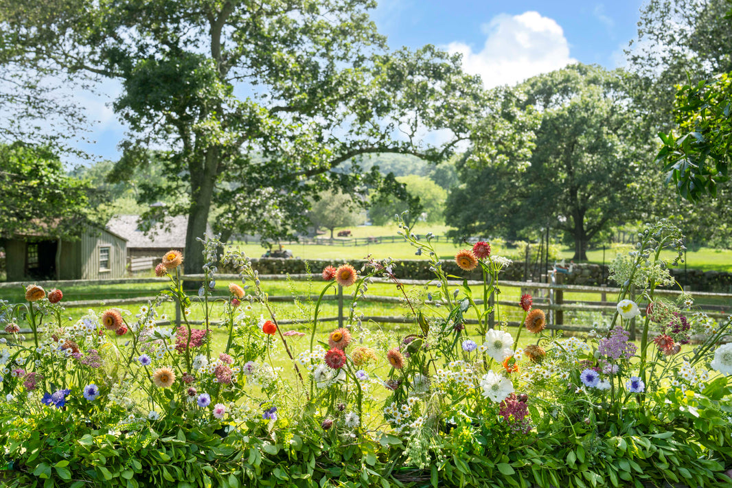 Photography by Gray Malin of Flowers on the Farm, West Tisbury, Martha’s Vineyard