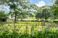 Flowers on the Farm, West Tisbury, Martha’s Vineyard