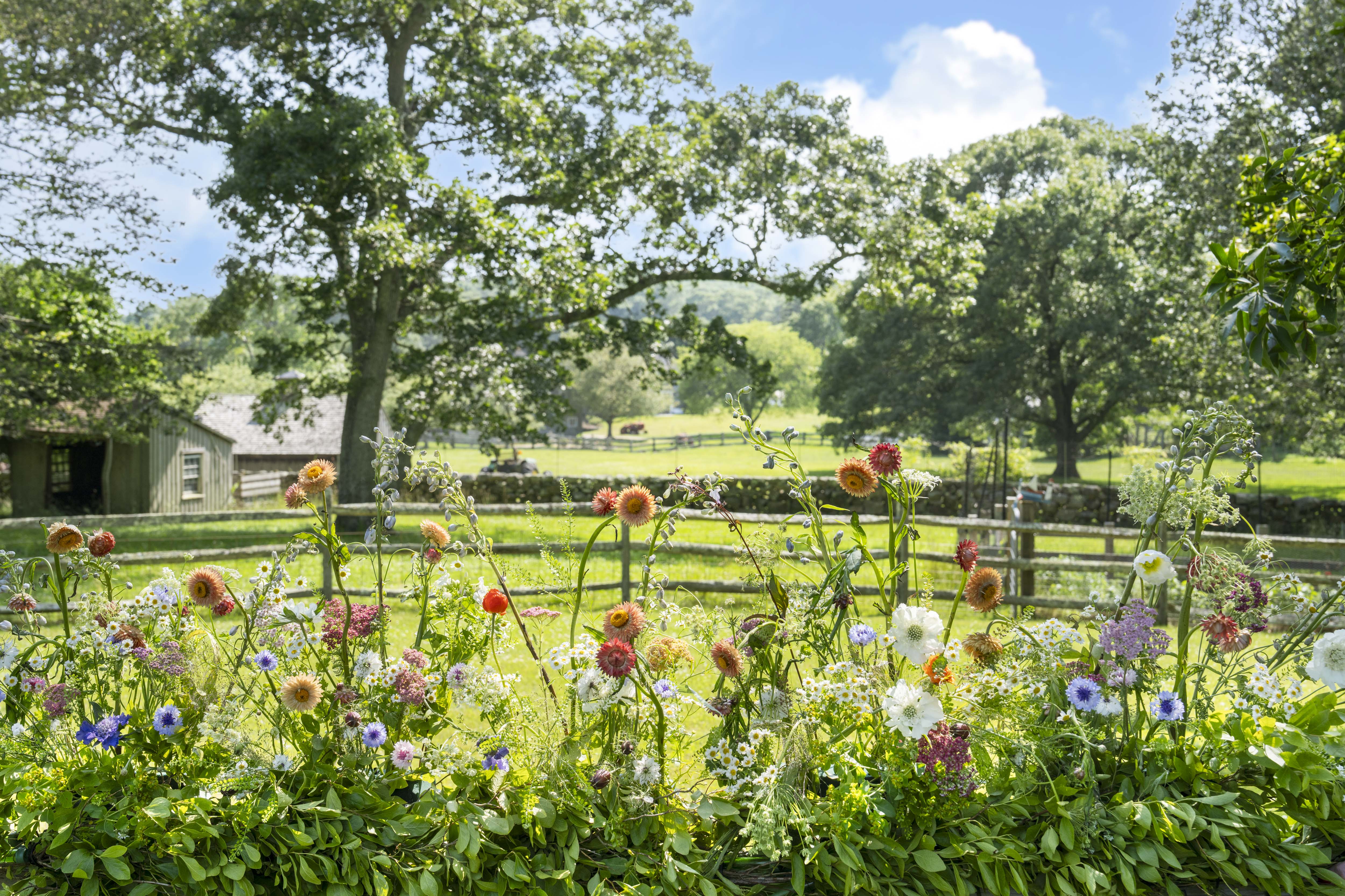Flowers on the Farm, West Tisbury, Martha’s Vineyard