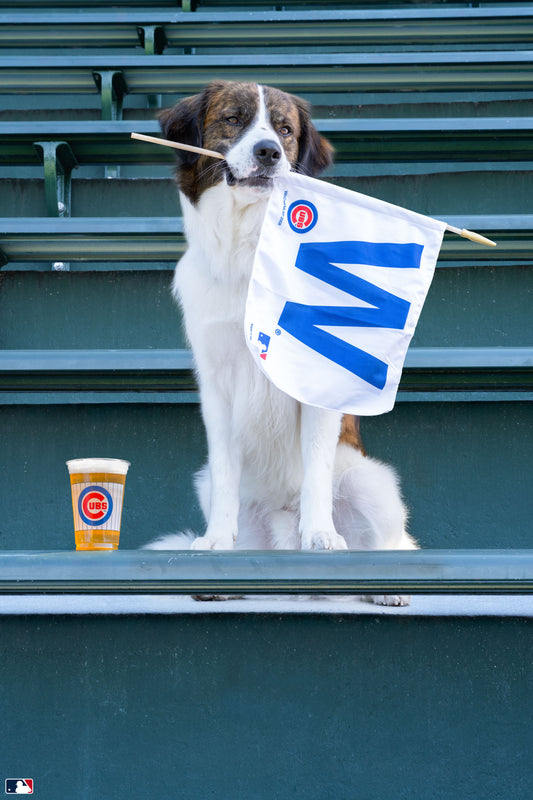 Fly the W, Wrigley Field, Chicago