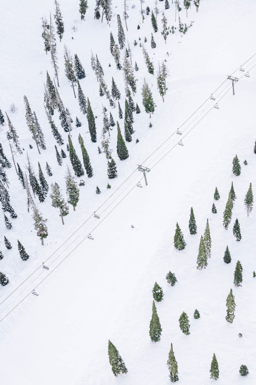 Photography by Gray Malin of Flying Squirrel, Sun Valley