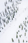 Flying Squirrel, Sun Valley
