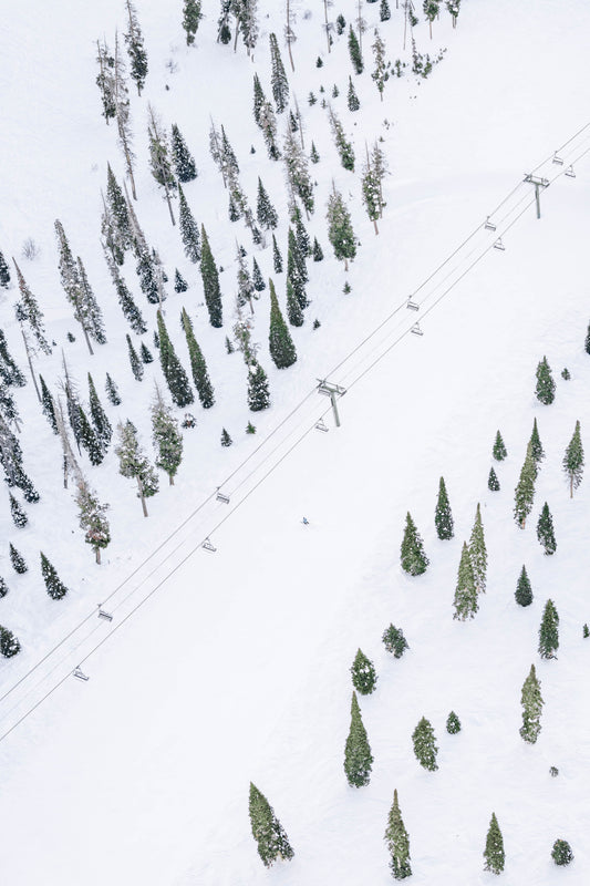 Flying Squirrel, Sun Valley