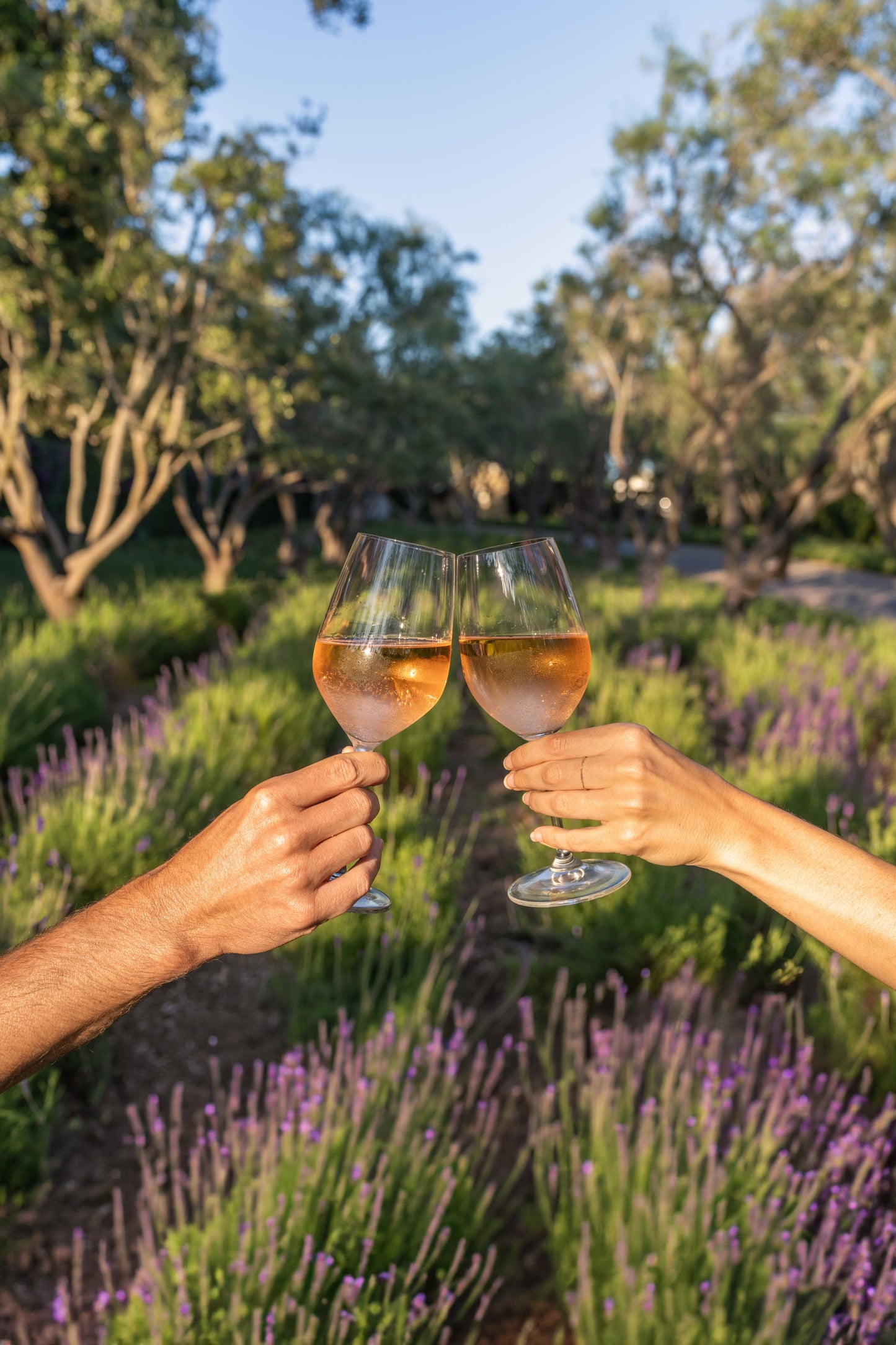 Happy Hour, San Ysidro Ranch