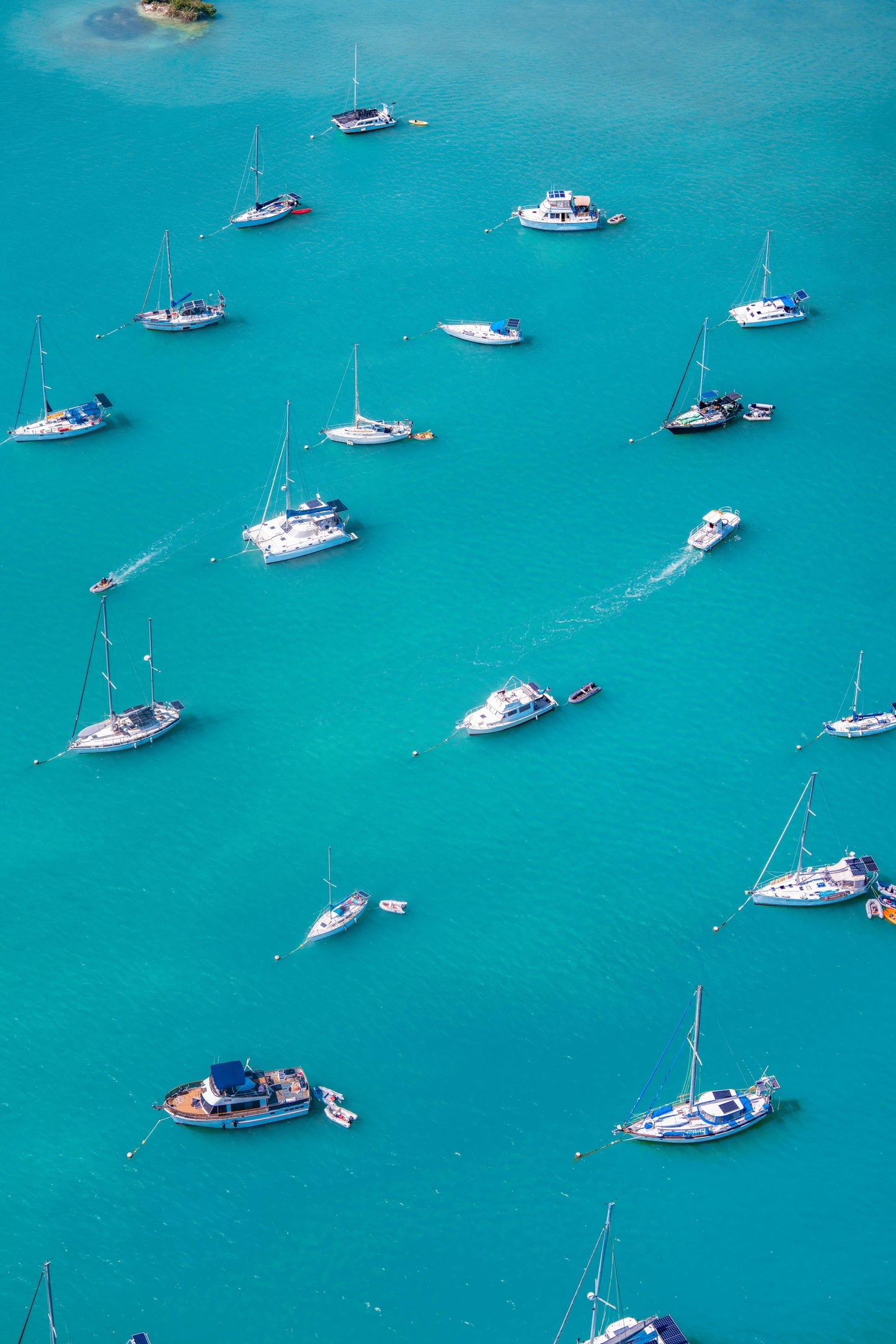 Harbor Boats, Key Largo, Florida