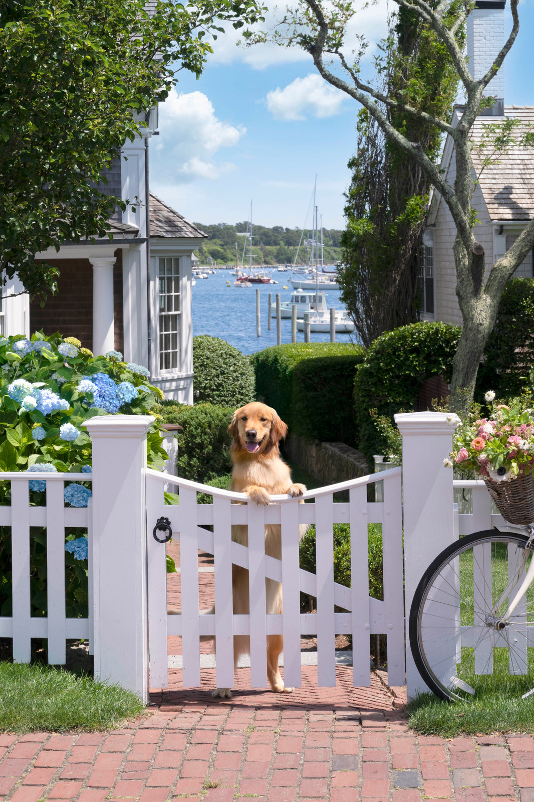 Photography by Gray Malin of Harbor Hello, Martha’s Vineyard