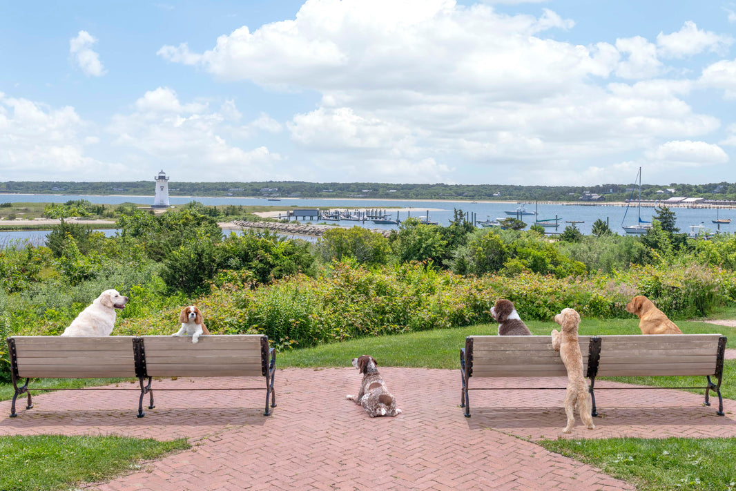 Photography by Gray Malin of Harbor Views, Martha’s Vineyard