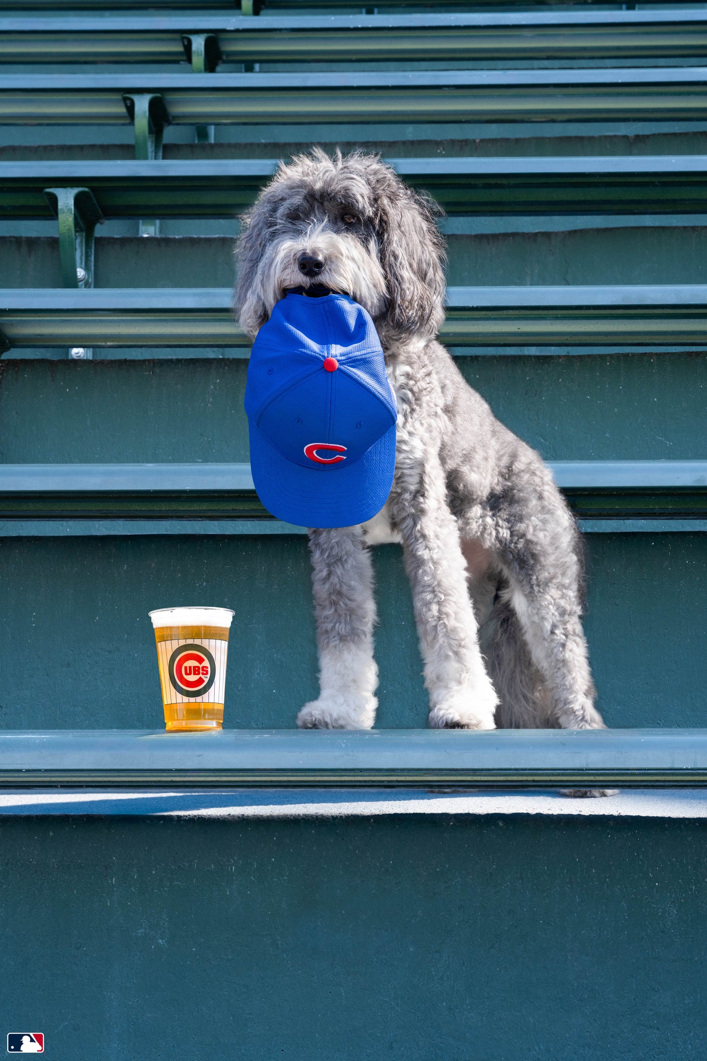 Hat Trick, Wrigley Field, Chicago