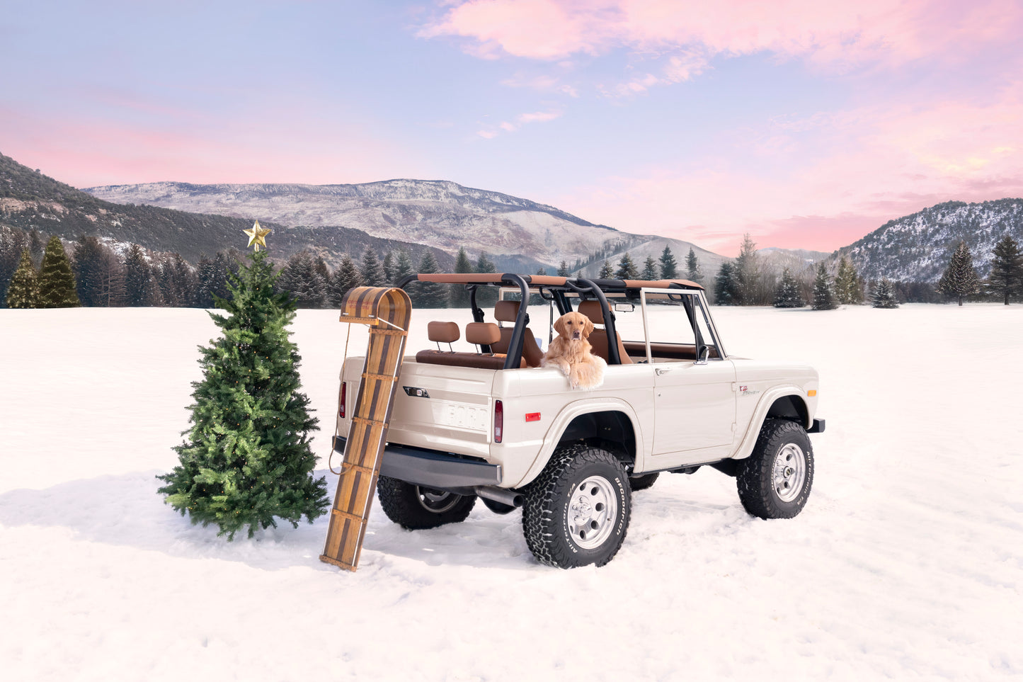 Holiday Bronco Pup, Aspen